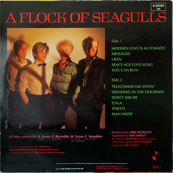 a flock of seagulls