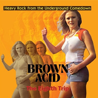 V/A - Brown Acid: Eighth Trip