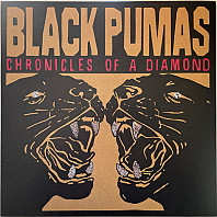 Black Pumas - Chronicles of a Diamond