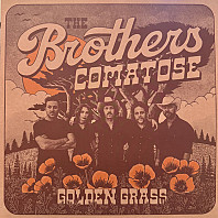 Brothers Comatose - Golden Grass