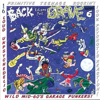 Various Artists - Back From the Grave 6