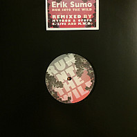 Erik Sumo - Run Into The Wild