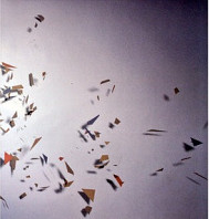 Headhunter - Clone / Projector