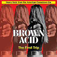Various Artists - Brown Acid: The First Trip (Heavy Rock From The American Comedown Era)