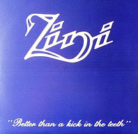 Zini - Better Than A Kick In The Teeth