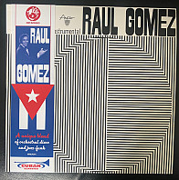 Raul Gomez - Instrumental