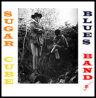 Sugar Cube Blues Band - Sugar Cube Blues Band