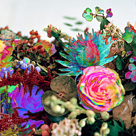 Darkstar - News From Nowhere