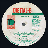 Half Pint - I Am Not A Substitute Lover