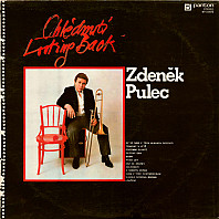 Zdeněk Pulec - Ohlédnutí (Looking Back)