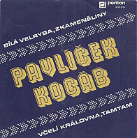 Michal Pavlíček - Bílá Velryba, Zkameněliny / Včelí Královna, Tamtam