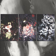 Kassem Mosse - Three Versions