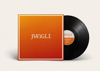 Jungle (12) - Volcano