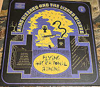 King Gizzard & the Lizard Wizzard - Flying Microtonal Banana