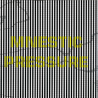 Lee Gamble - Mnestic Pressure