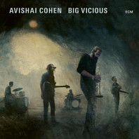 Avishai Cohen Big Vicious - Avishai Cohen Big Vicious