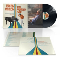 Brian Wilson Long Promised Road