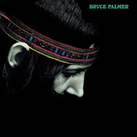 Bruce Palmer - Cycle is Complete