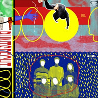 Buntspecht - Spring Bevor Du Fallst