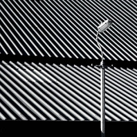Craven Faults - Erratics & Unconformities
