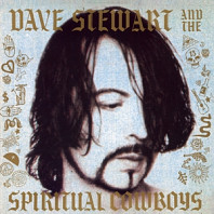 Dave Stewart and the Spiritual Cowboys