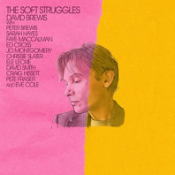 David Brewis - Soft Struggles