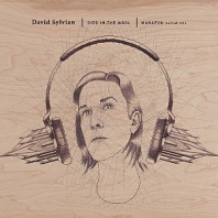 David Sylvian - Died In the Wool - Manafon Variations