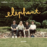 Elephant (41) - Big Thing