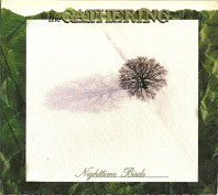 Gathering - Nighttime Birds