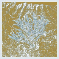 Huerco S. - For Those of You Who Have Never