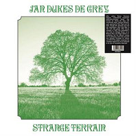 Jan Dukes De Grey - Strange Terrain