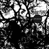 Jeff Liberman - Synergy