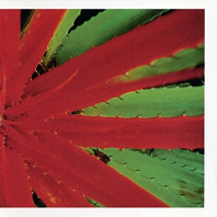 Jejune - This Afternoon Malady