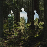 Johannes Brecht Trio - Disparaitre