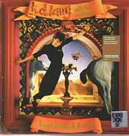 k.d. lang - Angel With a Lariat