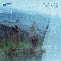 Nate Mercereau& Josh Johnson & Carlos Nino - Openness Trio