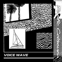 Pacific Coliseum& Teen Daze - Voice Wave