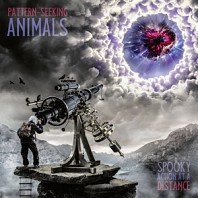 Pattern-Seeking Animals - Spooky Action At a Distance