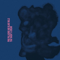 Pino Palladino& Blake Mills - That Wasn't a Dream