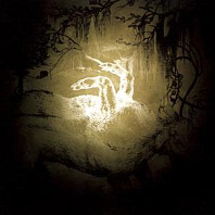 Polar Bear - Held On the Tips of Fingers