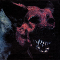 Protomartyr (2) - Under Color of Official Right