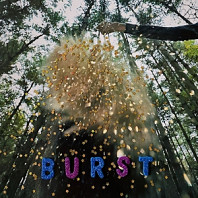 Snarls (2) - Burst