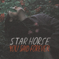 Star Horse - You Said Forever