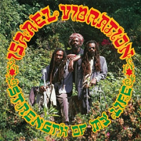 Strength of My Life - Israel Vibration