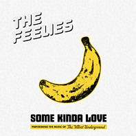 The Feelies - Some Kinda Love: Performing the Music of the Velvet Underground