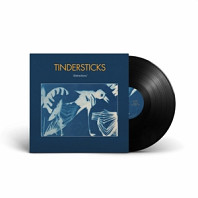 Tindersticks - Distractions