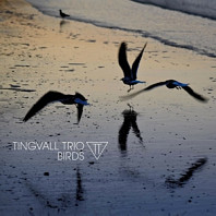 Tingvall Trio - Birds