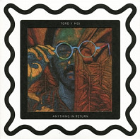 Toro Y Moi - Anything In Return