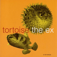 Tortoise - In the Fishtank 5