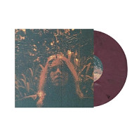 Turnover - Peripheral Vision
